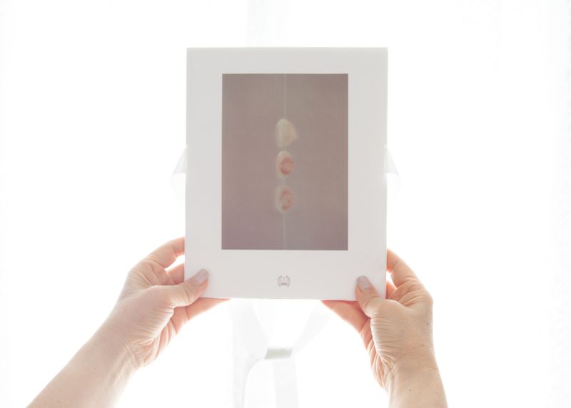 © Lean Lui - Image from the Aseptic Field photography project