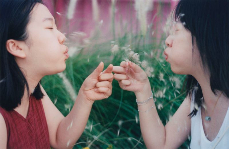 © Lean Lui - Dandelion Bomb