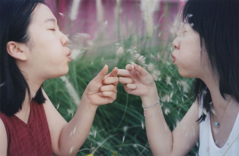 © Lean Lui - Dandelion Bomb