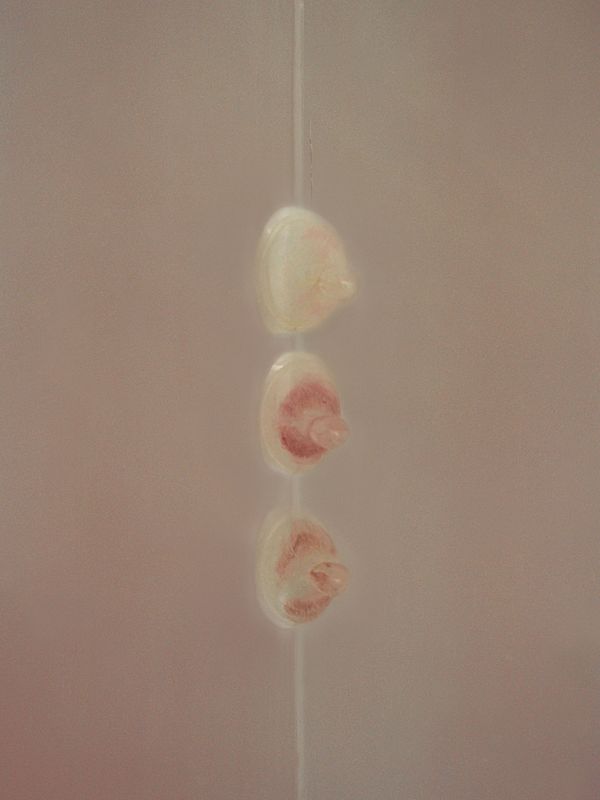 © Lean Lui - MUO MUO MUO