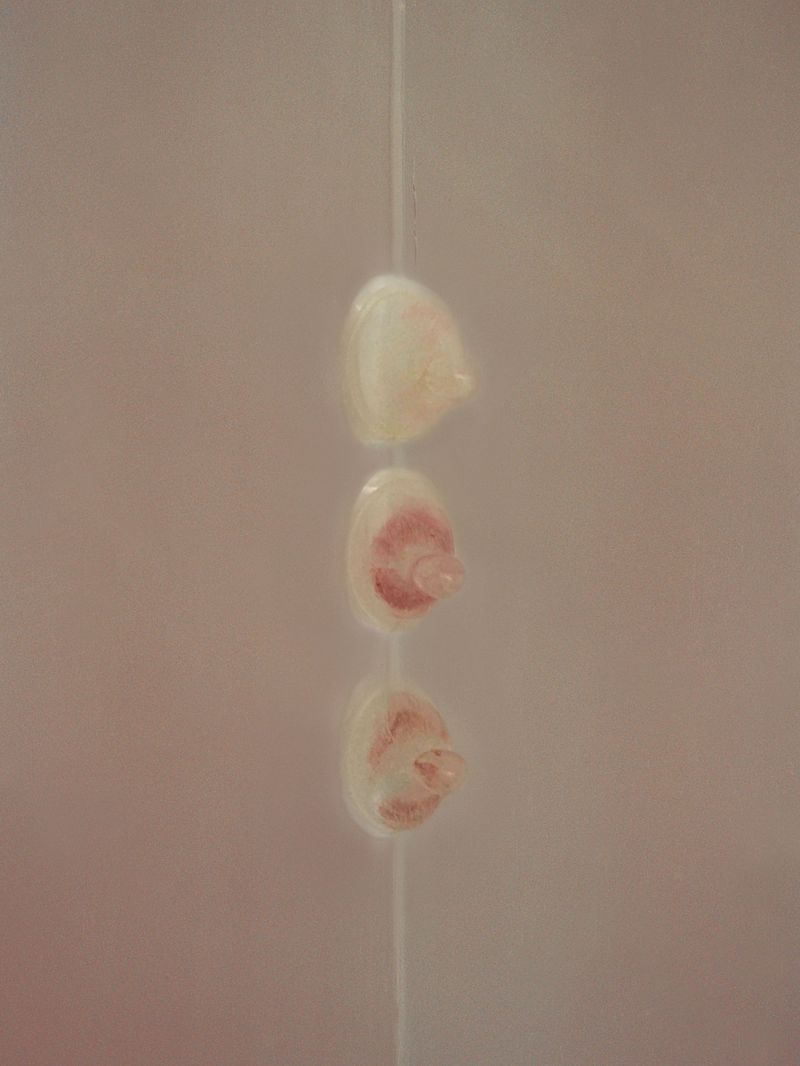 © Lean Lui - MUO MUO MUO