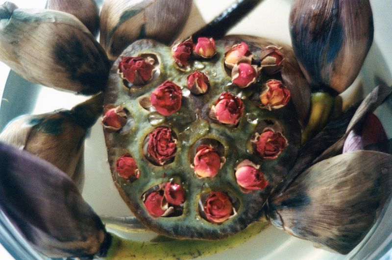 © Lean Lui - Lotus Heart