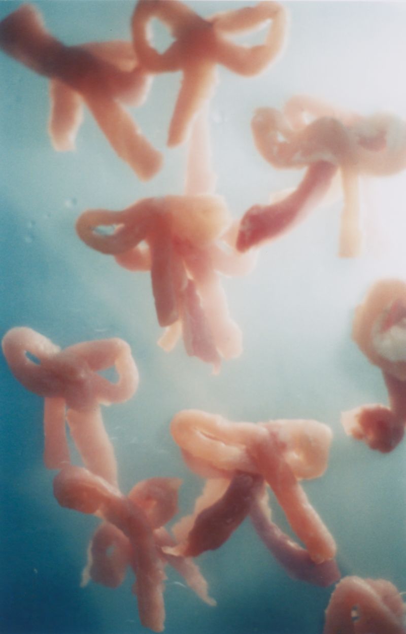 © Lean Lui - Peach Torture Room - Window