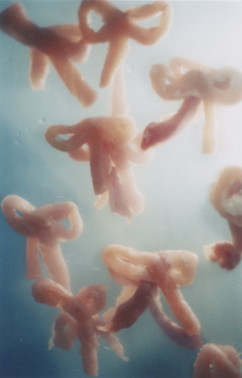 © Lean Lui - Peach Torture Room - Window