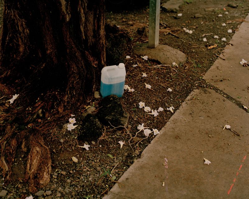 © Cédrine Scheidig - Image from the Les Mornes, le feu (The Dunes, the Fire) photography project