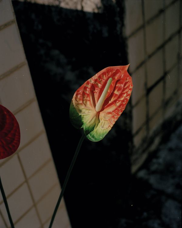 © Cédrine Scheidig - Image from the Les Mornes, le feu (The Dunes, the Fire) photography project