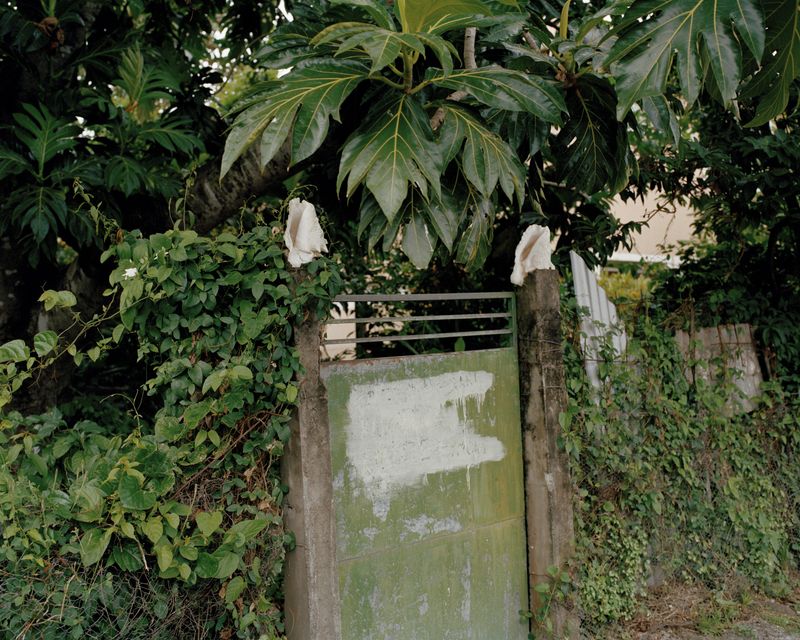 © Cédrine Scheidig - Image from the Les Mornes, le feu (The Dunes, the Fire) photography project