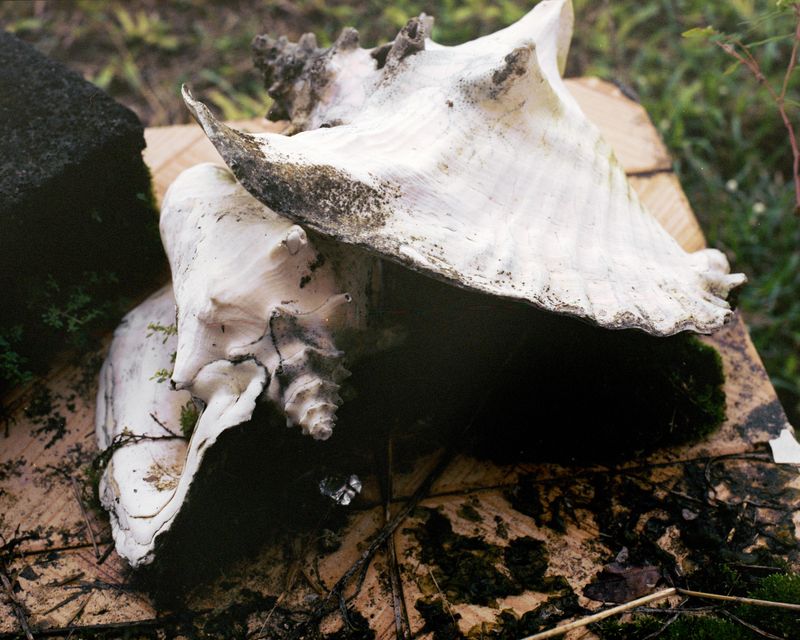 © Cédrine Scheidig - Image from the Les Mornes, le feu (The Dunes, the Fire) photography project