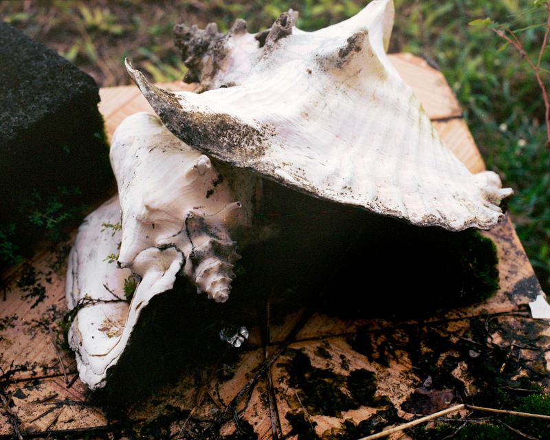 © Cédrine Scheidig - Image from the Les Mornes, le feu (The Dunes, the Fire) photography project