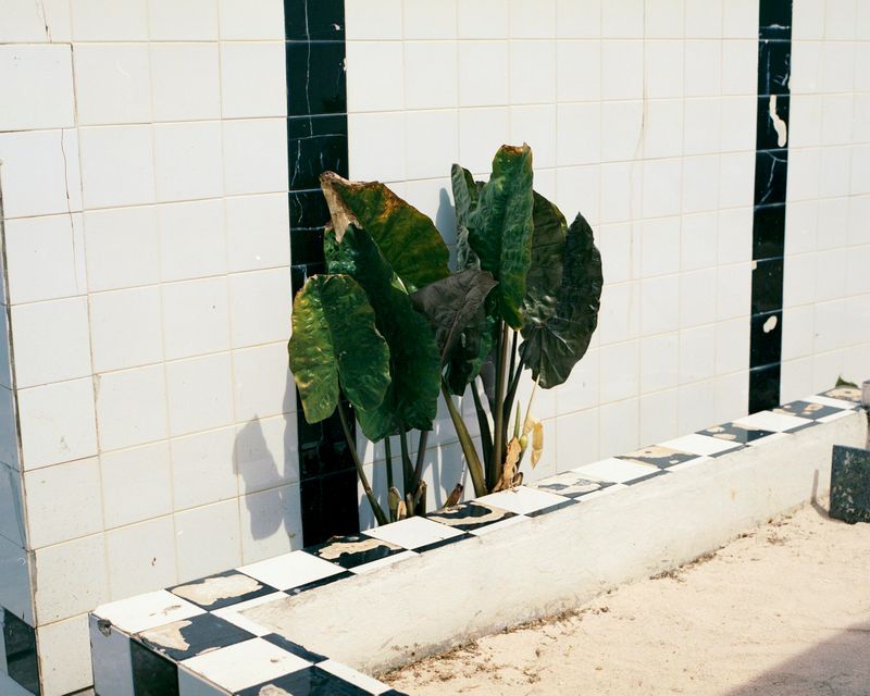 © Cédrine Scheidig - Image from the Les Mornes, le feu (The Dunes, the Fire) photography project