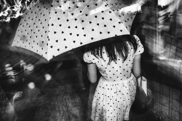 © Argus Paul Estabrook