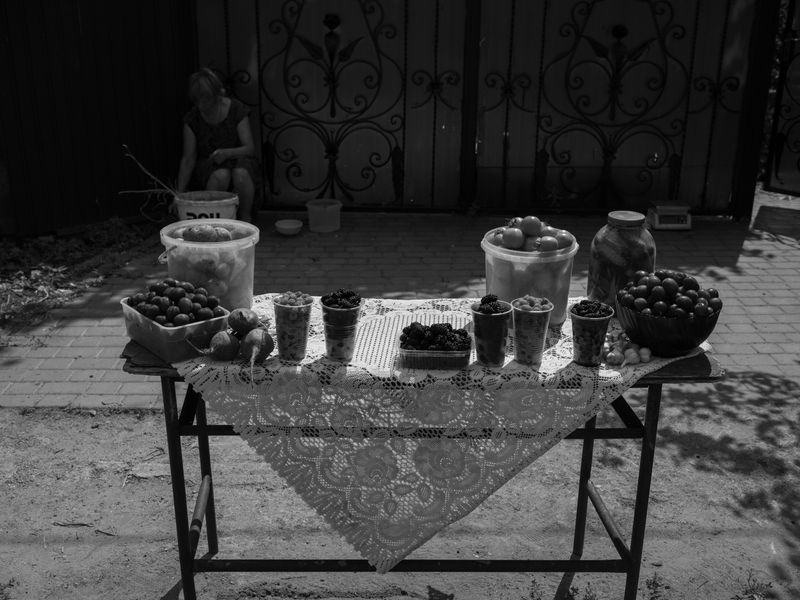 © Aria Shahrokhshahi - Image from the Wet Ground photography project