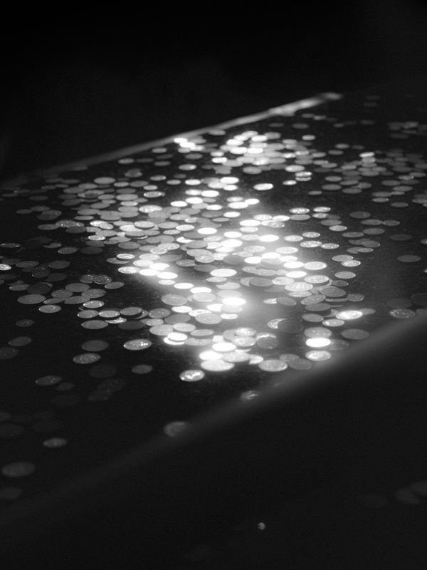 © Aria Shahrokhshahi - Image from the Wet Ground photography project