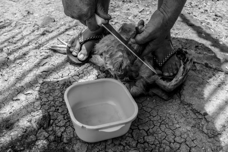 © Samuel Gamio - Image from the The grandpa and Tondopa photography project