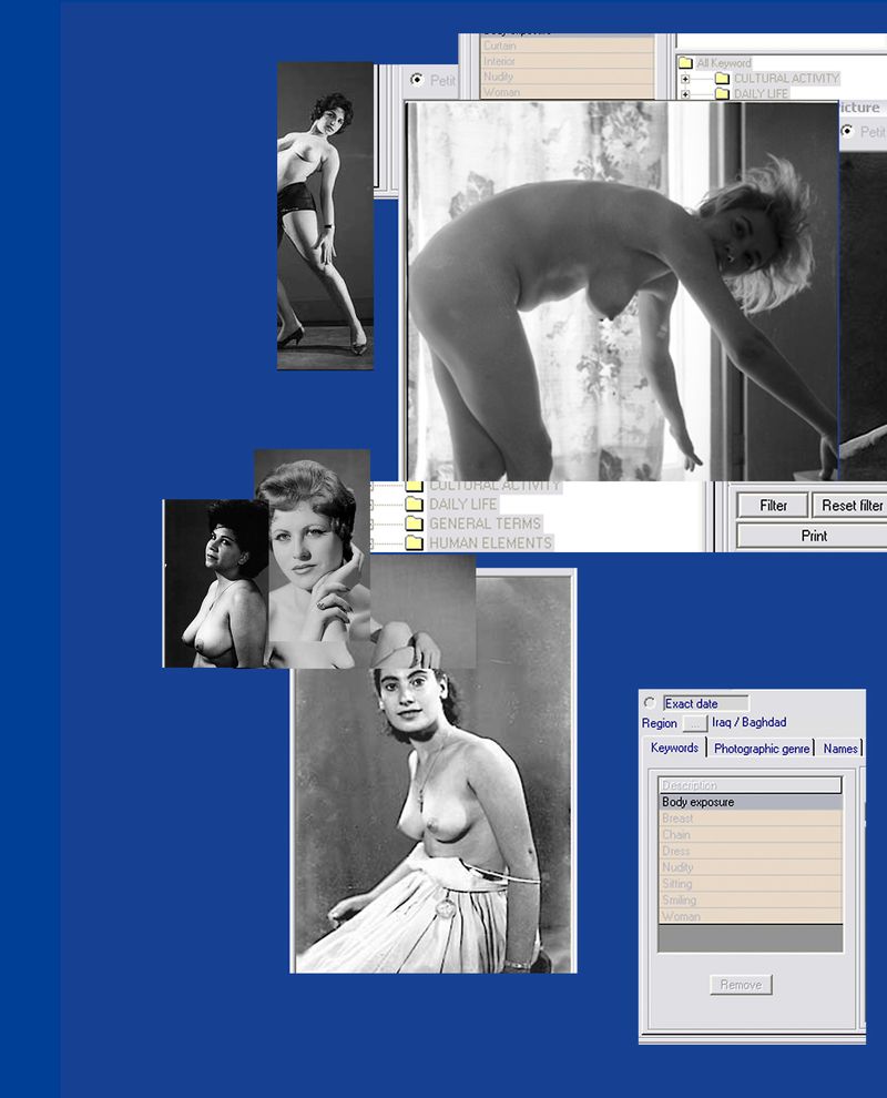 © paula roush - Image from the sex’n’database : a corporeal taxonomy photography project