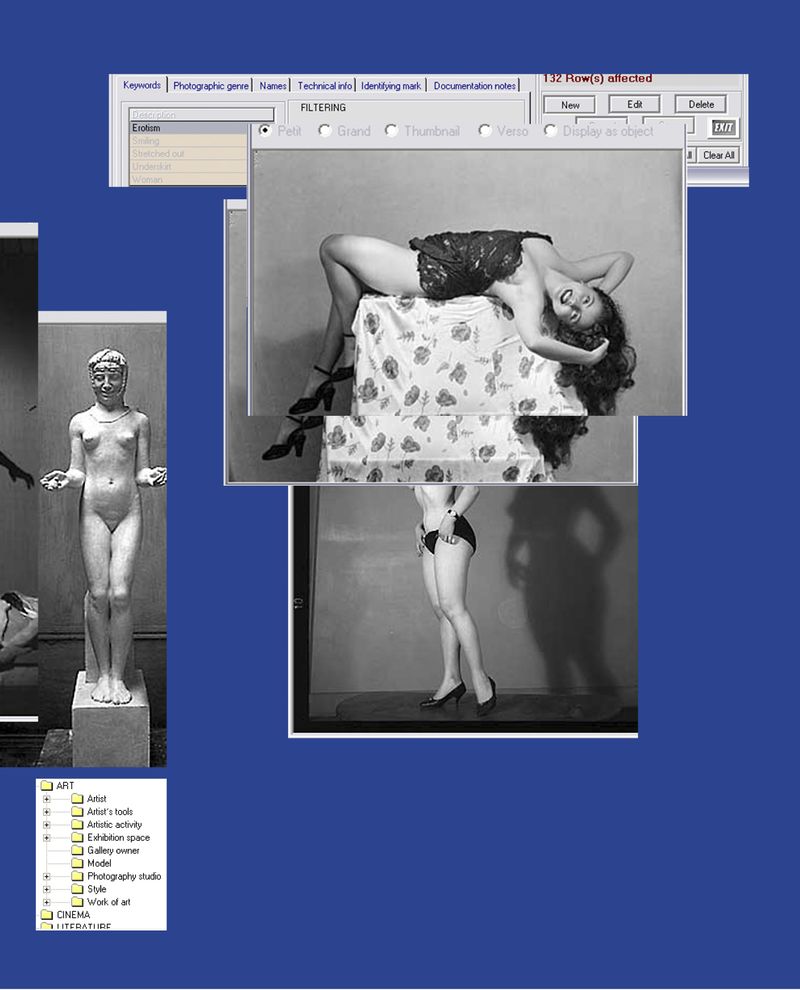 © paula roush - Image from the sex’n’database : a corporeal taxonomy photography project