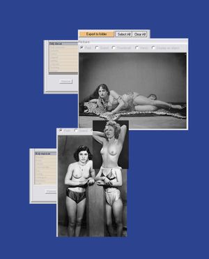 sex’n’database : a corporeal taxonomy