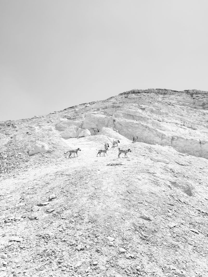 © Hashim Nasr - Image from the How To Trace a disappearance photography project