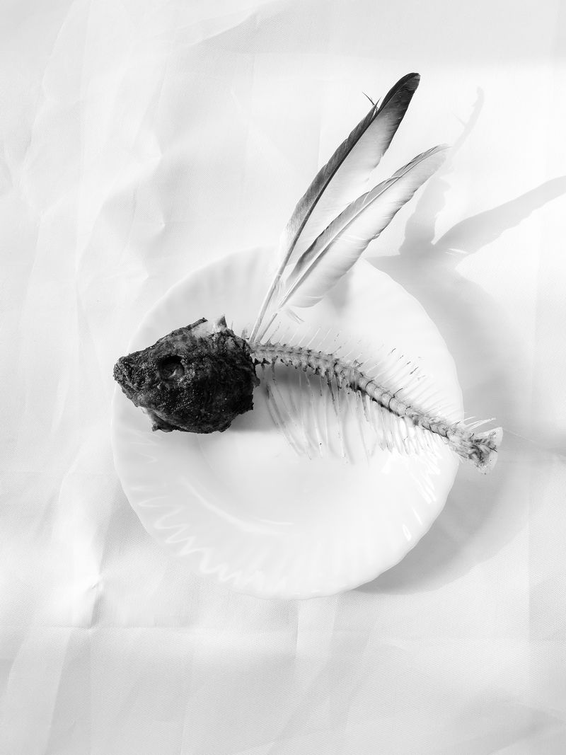 © Hashim Nasr - Image from the How To Trace a disappearance photography project
