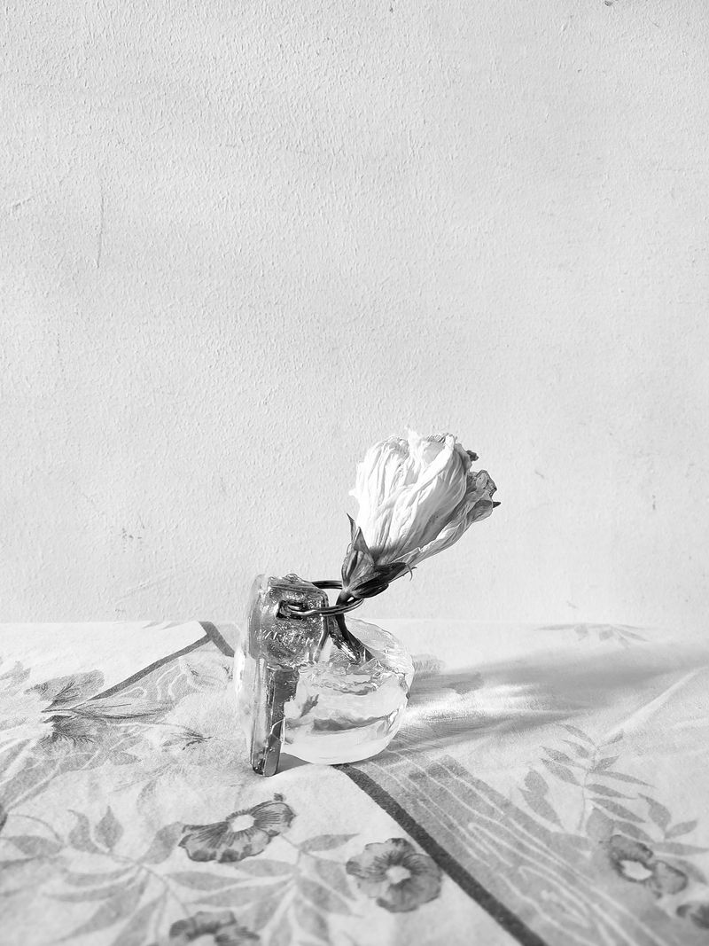 © Hashim Nasr - Image from the How To Trace a disappearance photography project