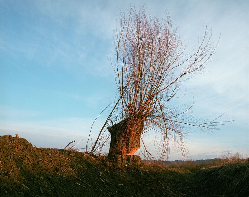 © Krzysztof Kowalczyk - Image from the The Dam photography project