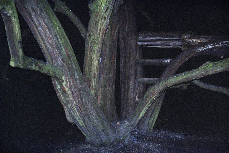 © Krzysztof Kowalczyk - Image from the Night Will Come photography project