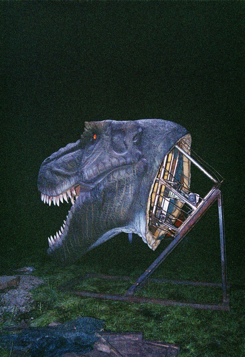 © Krzysztof Kowalczyk - Image from the Night Will Come photography project