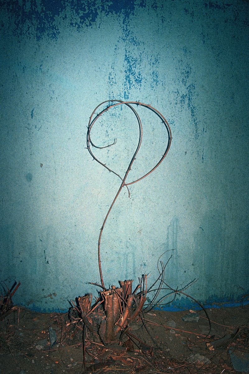 © Krzysztof Kowalczyk - Image from the Night Will Come photography project