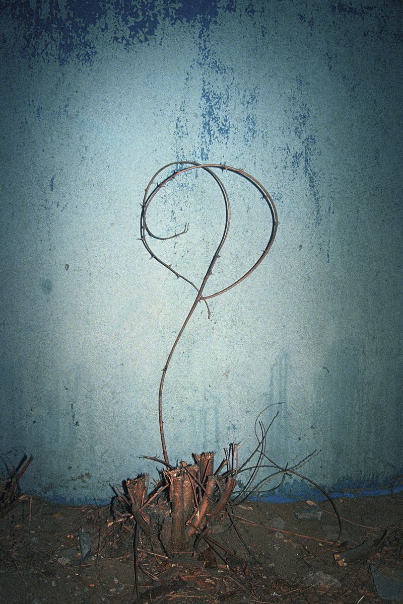 © Krzysztof Kowalczyk - Image from the Night Will Come photography project