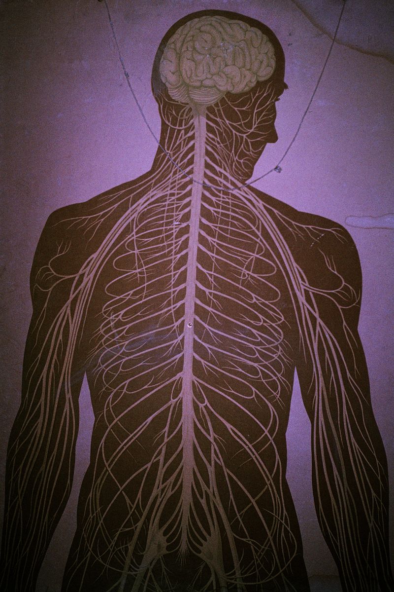 © Krzysztof Kowalczyk - Image from the Night Will Come photography project