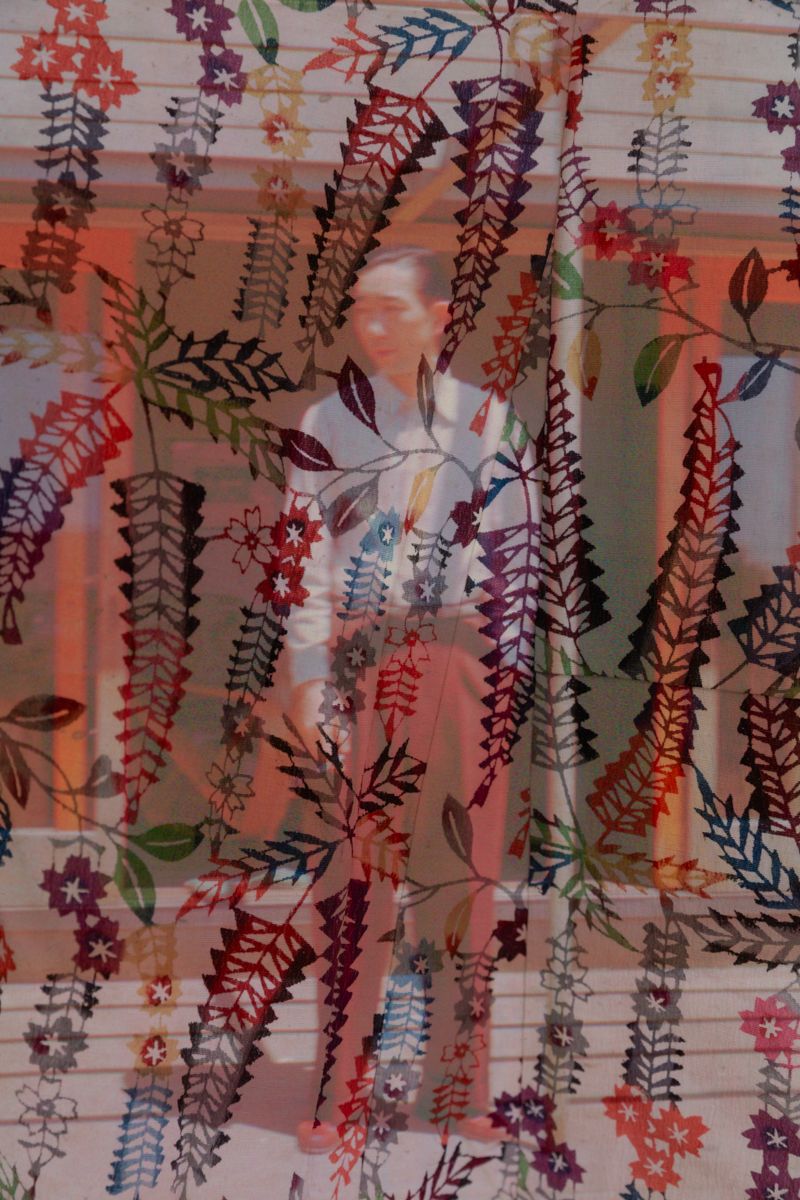 © Aiko Austin - Foxtails