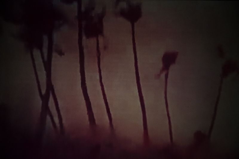© Benedetta Di Ruggiero - Image from the Mother, do you think they’ll drop the bomb? photography project