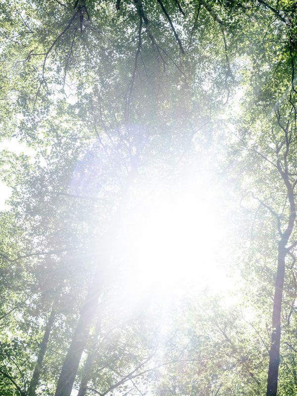 © Benedetta Di Ruggiero - Image from the We Are Not Youth Any Longer photography project