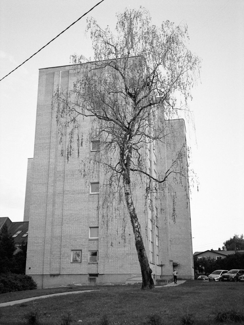 © Benedetta Di Ruggiero - Image from the We Are Not Youth Any Longer photography project