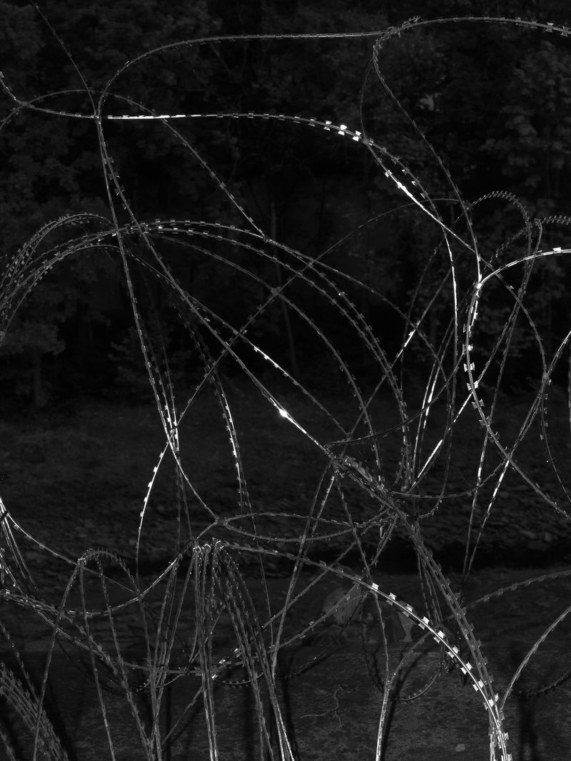© Benedetta Di Ruggiero - Barbed wire in Narva, Estonia, a border town with Russia and a city shaped by its position on Europe’s edge.