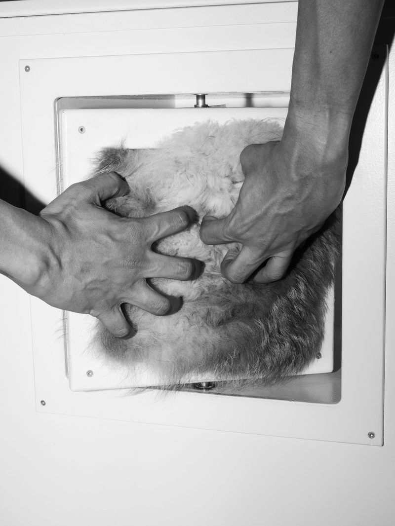 © Susanna De Vido - Image from the Quando torneremo a guardare le stelle photography project