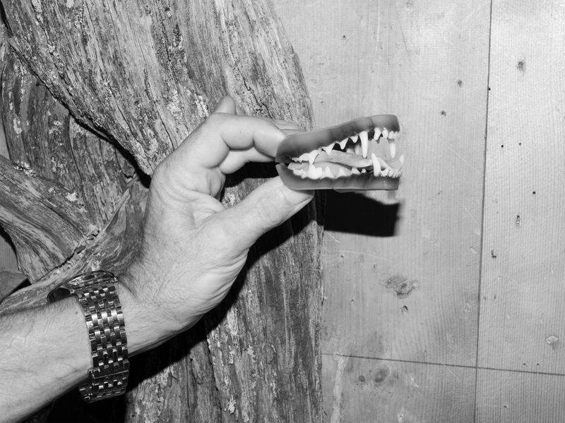 © Susanna De Vido - Image from the Quando torneremo a guardare le stelle photography project