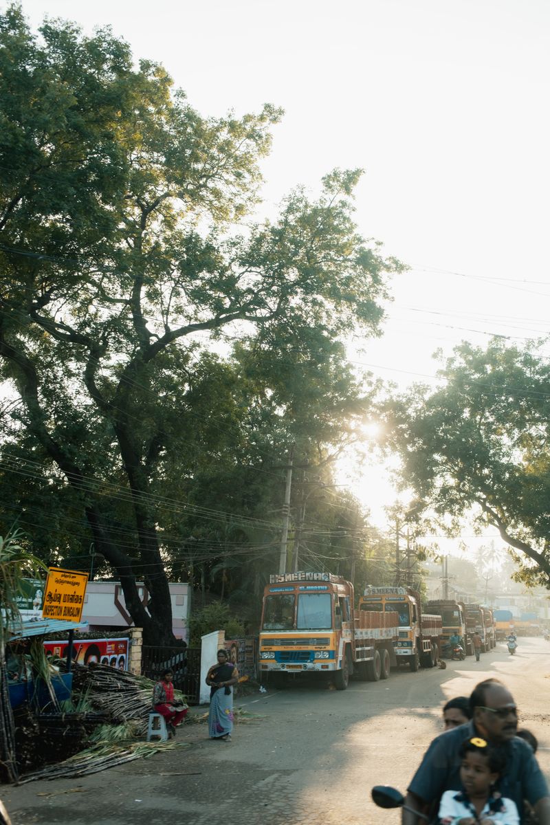 © Yvonne Chu - Morning light opens the road; the project continues through crossings, waiting, and return.