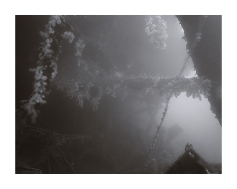 © Thomas Easop - Naked Casemate Gun -SMS Kronprinz Wilhelm shipwreck, Scapa Flow, Orkney, Scotland