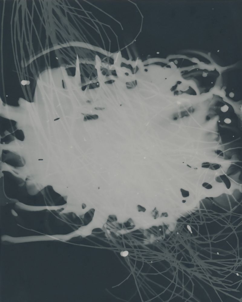 © Sari Sutton - Cluster
