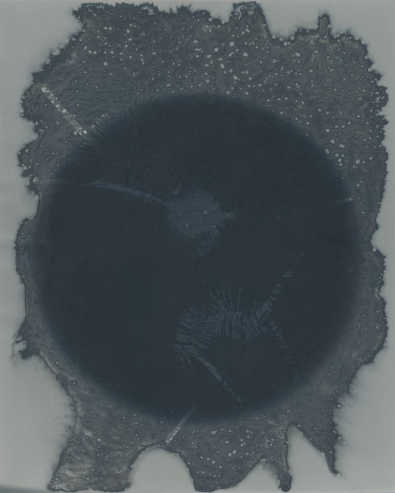 © Sari Sutton - Black sun