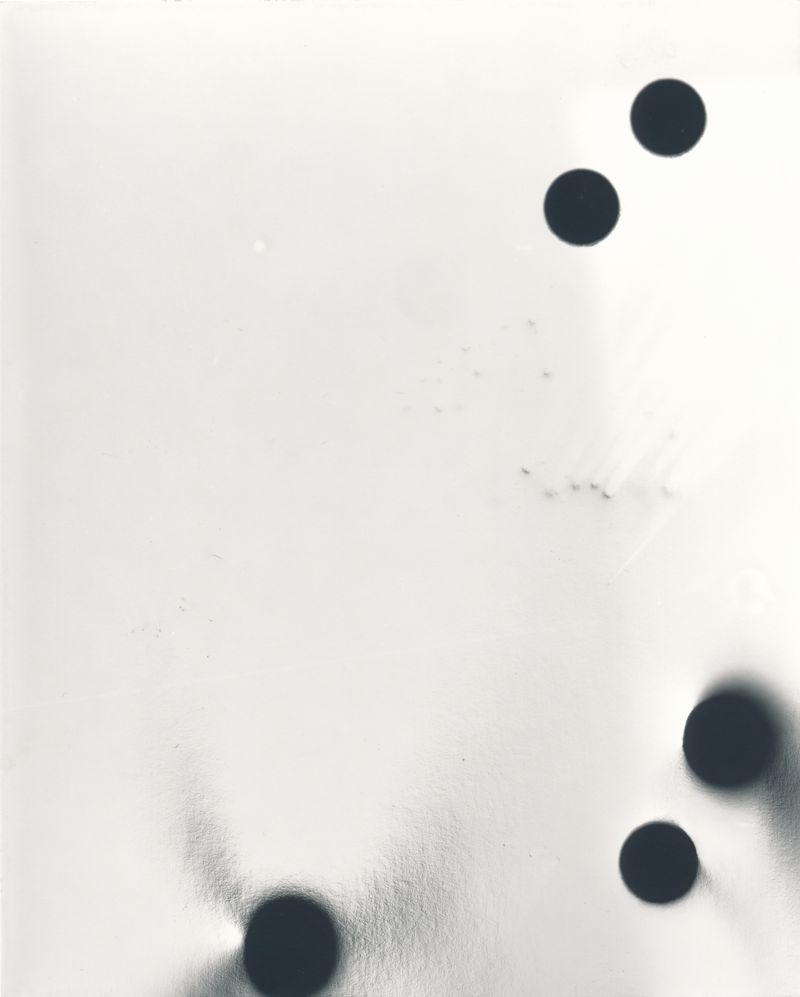 © Sari Sutton - Coronal