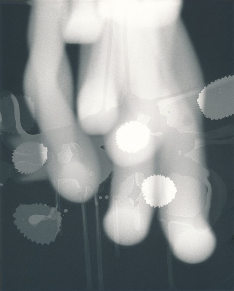 © Sari Sutton - Float