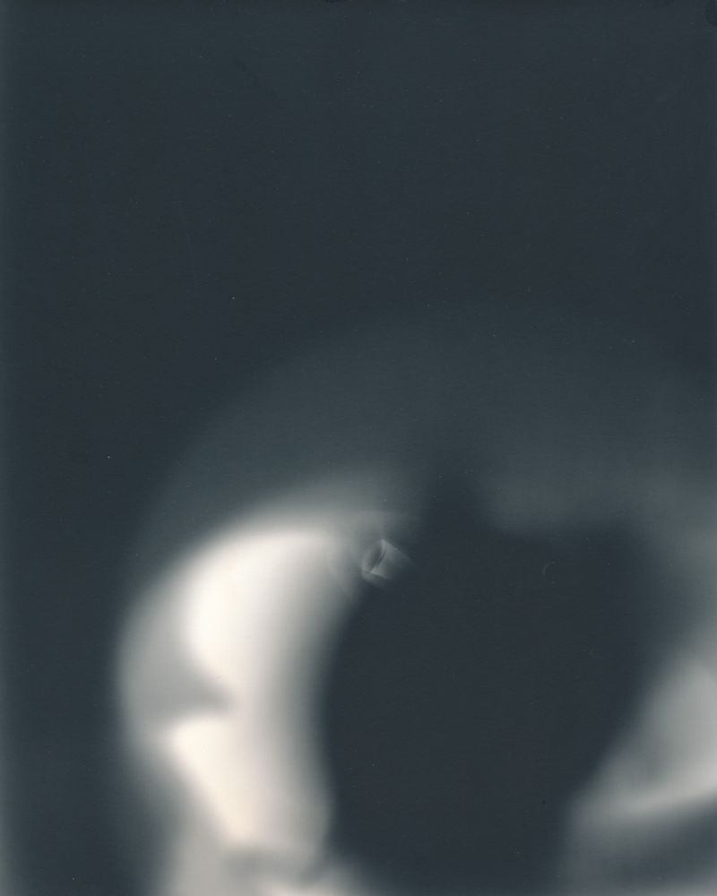 © Sari Sutton - Immersion