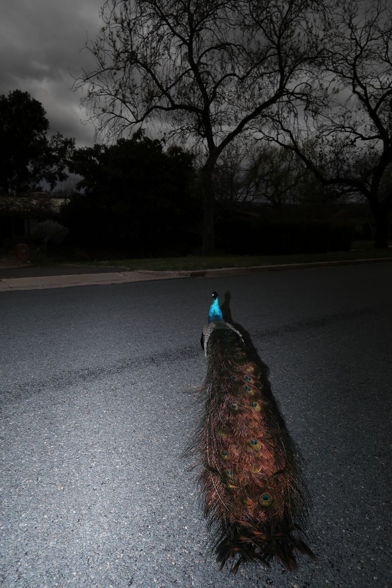 © Sari Sutton - Image from the Stand Here photography project