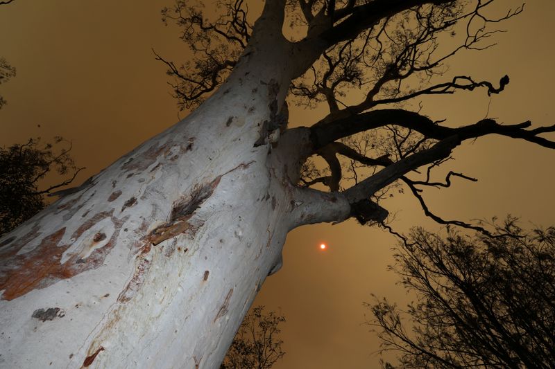 © Sari Sutton - Image from the Stand Here photography project
