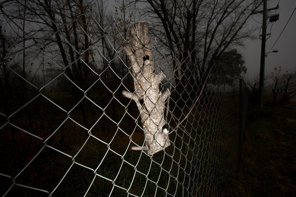 © Sari Sutton - Image from the Stand Here photography project