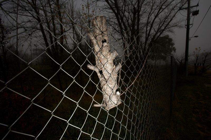 © Sari Sutton - Image from the Stand Here photography project