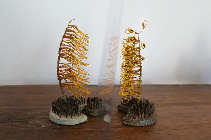 © Sari Sutton - Image from the Stand Here photography project