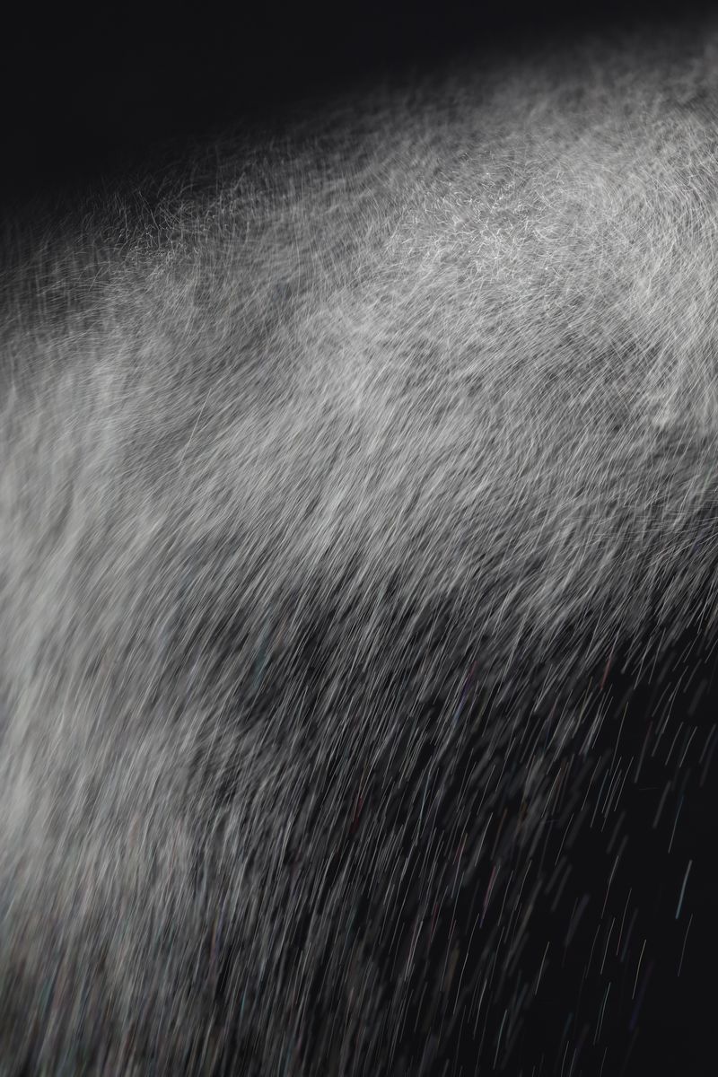 © Sari Sutton - Image from the Stand Here photography project